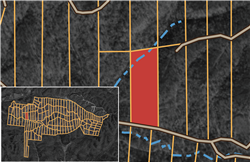 Big White Oak Tract 87