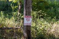 Big White Oak Tract 9
