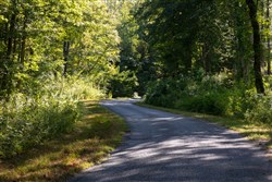 Big White Oak Tract 9