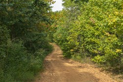 Big White Oak Tract 9