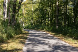 Big White Oak Tract 9