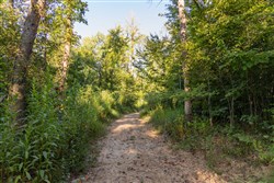 Big White Oak Tract 90