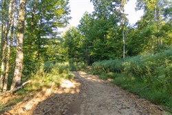 Big White Oak Tract 91