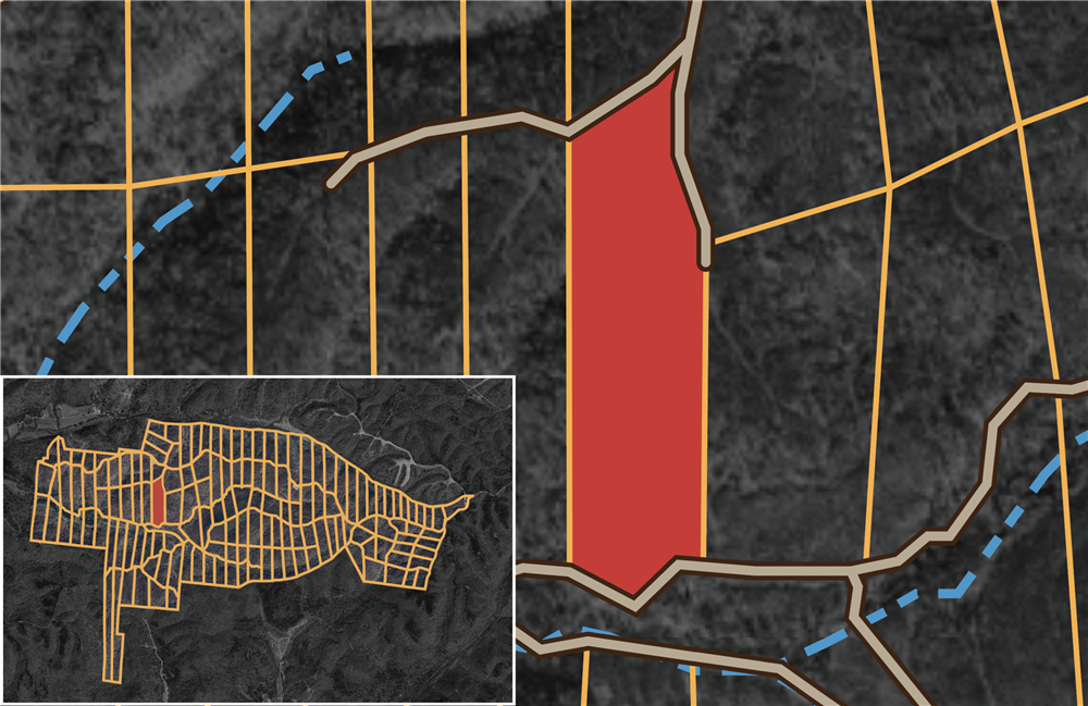 Big White Oak Tract 91 - Primary
