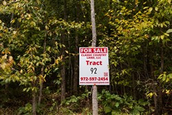 Big White Oak Tract 92