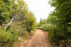 Big White Oak Tract 92