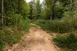 Big White Oak Tract 92