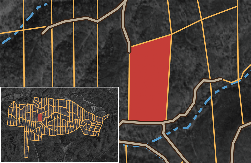 Big White Oak Tract 92 - Primary