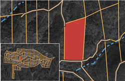 Big White Oak Tract 92