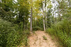 Big White Oak Tract 93