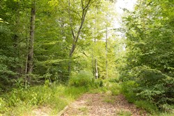 Big White Oak Tract 94