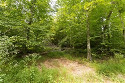 Big White Oak Tract 94