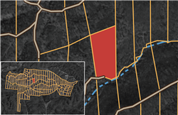 Big White Oak Tract 94