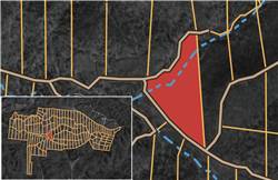 Big White Oak Tract 95