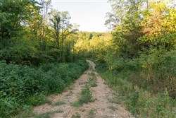 Big White Oak Tract 96