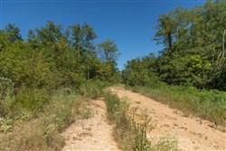 Big White Oak Tract 96