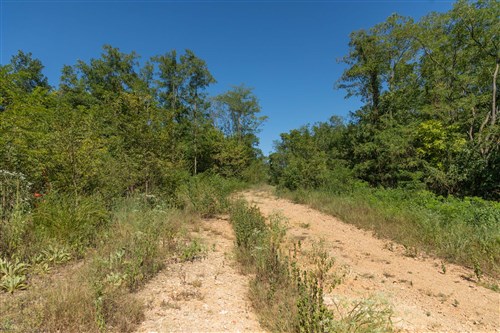 Big White Oak Tract 96