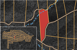 Big White Oak Tract 96