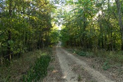 Big White Oak Tract 97