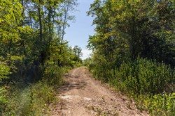 Big White Oak Tract 97