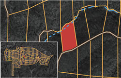 Big White Oak Tract 97