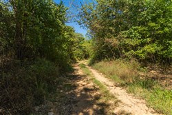 Big White Oak Tract 99_2