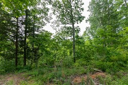 property photo for Cedar Creek Tract 1, 2.04 acres for sale in Perry County, Tennessee