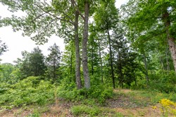 property photo for Cedar Creek Tract 1, 2.04 acres for sale in Perry County, Tennessee