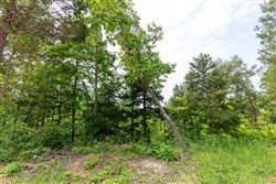 property photo for Cedar Creek Tract 1, 2.04 acres for sale in Perry County, Tennessee