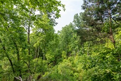 property photo for Cedar Creek Tract 1, 2.04 acres for sale in Perry County, Tennessee