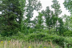 property photo for Cedar Creek Tract 10, 8.55 acres for sale in Perry County, Tennessee