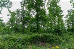 property photo for Cedar Creek Tract 10, 8.55 acres for sale in Perry County, Tennessee