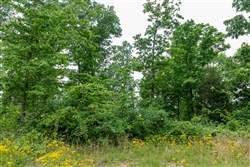 property photo for Cedar Creek Tract 11, 8.15 acres for sale in Perry County, Tennessee