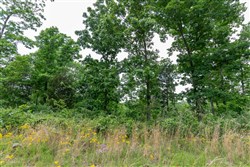 property photo for Cedar Creek Tract 11, 8.15 acres for sale in Perry County, Tennessee