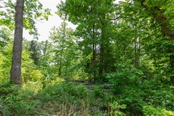 property photo for Cedar Creek Tract 11, 8.15 acres for sale in Perry County, Tennessee
