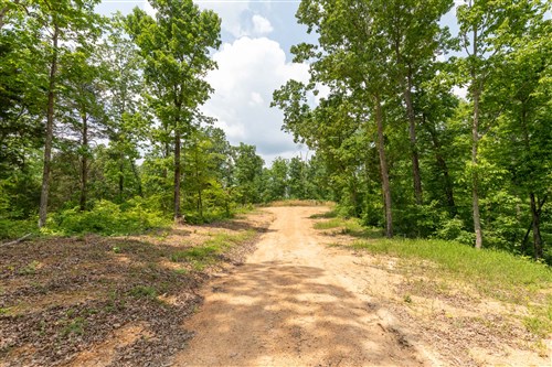 Cedar Creek Tract 12