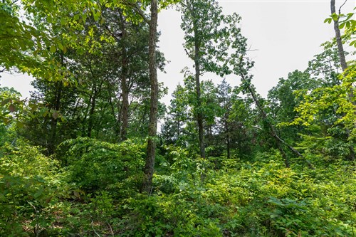 Cedar Creek Tract 12