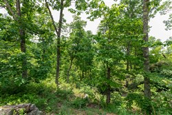 Cedar Creek Tract 12