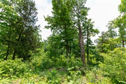 Cedar Creek Tract 12