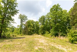 property photo for Cedar Creek Tract 13, 11.48 acres for sale in Perry County, Tennessee