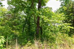 property photo for Cedar Creek Tract 13, 11.48 acres for sale in Perry County, Tennessee