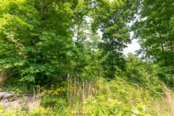 property photo for Cedar Creek Tract 13, 11.48 acres for sale in Perry County, Tennessee
