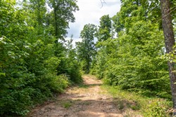 property photo for Cedar Creek Tract 14, 7.02 acres for sale in Perry County, Tennessee