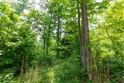 property photo for Cedar Creek Tract 14, 7.02 acres for sale in Perry County, Tennessee