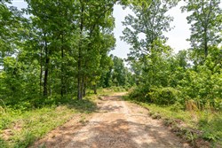 property photo for Cedar Creek Tract 14, 7.02 acres for sale in Perry County, Tennessee