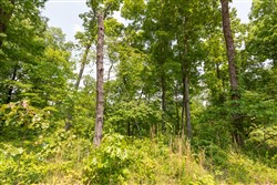 property photo for Cedar Creek Tract 14, 7.02 acres for sale in Perry County, Tennessee