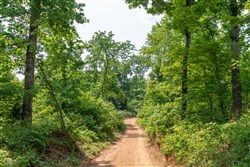 property photo for Cedar Creek Tract 15, 4.96 acres for sale in Perry County, Tennessee