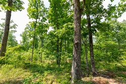 property photo for Cedar Creek Tract 15, 4.96 acres for sale in Perry County, Tennessee