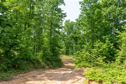 property photo for Cedar Creek Tract 15, 4.96 acres for sale in Perry County, Tennessee