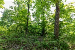 property photo for Cedar Creek Tract 15, 4.96 acres for sale in Perry County, Tennessee